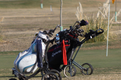 Carritos-de-golf